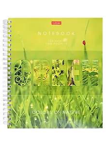 Тетрадь в клетку Hatber, "Гармония цвета", А5, 100 листов