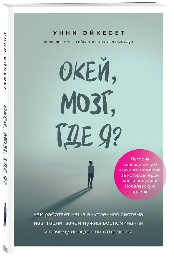 Книга Окей, мозг, где я? Как работает наша внутренняя система навигации, зачем нужны воспоминания и почему иногда они стираются (Унни Эйкесет) — 4