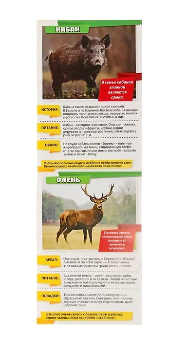 Книга Набор мини-энциклопедий "Узнаем про все вокруг. Живая природа". Комплект из 8 книг () — 3