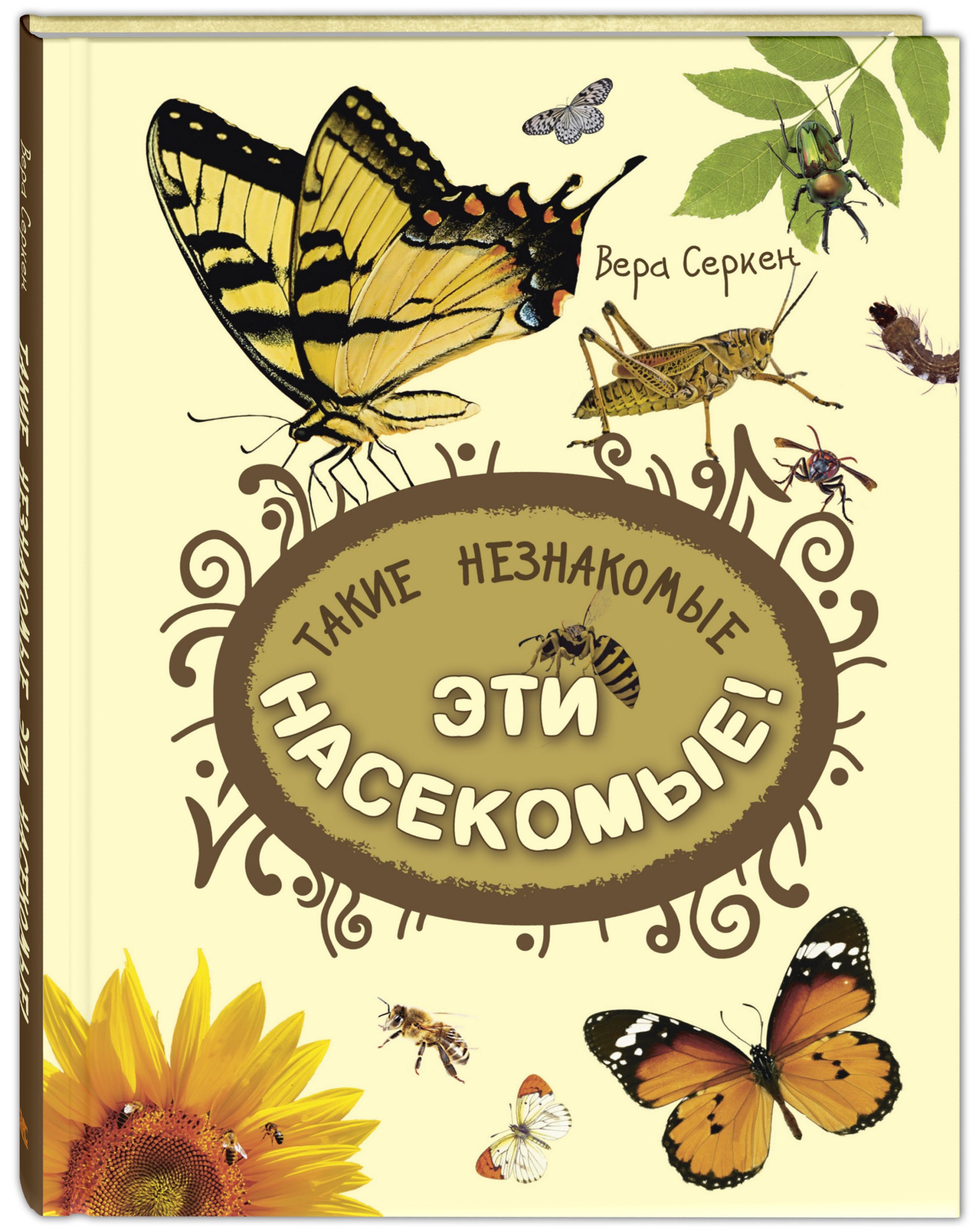 

Такие незнакомые эти насекомые