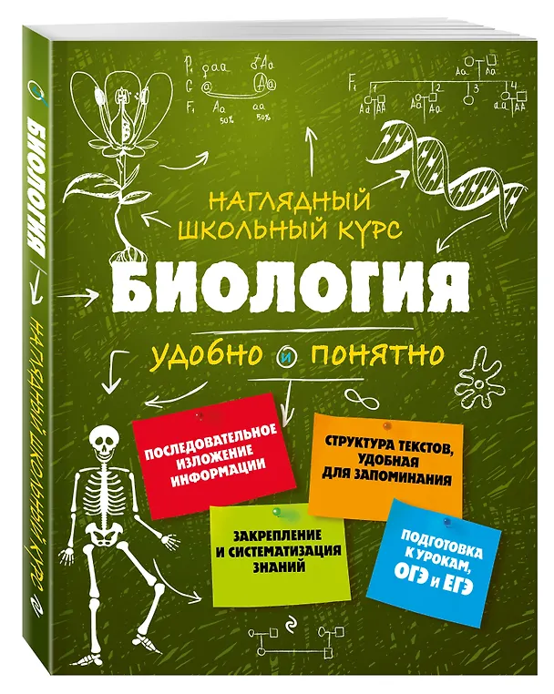 Книга Подготовка к урокам, ОГЭ и ЕГЭ. Биология. Наглядный школьный курс (Оксана Мазур) — 5