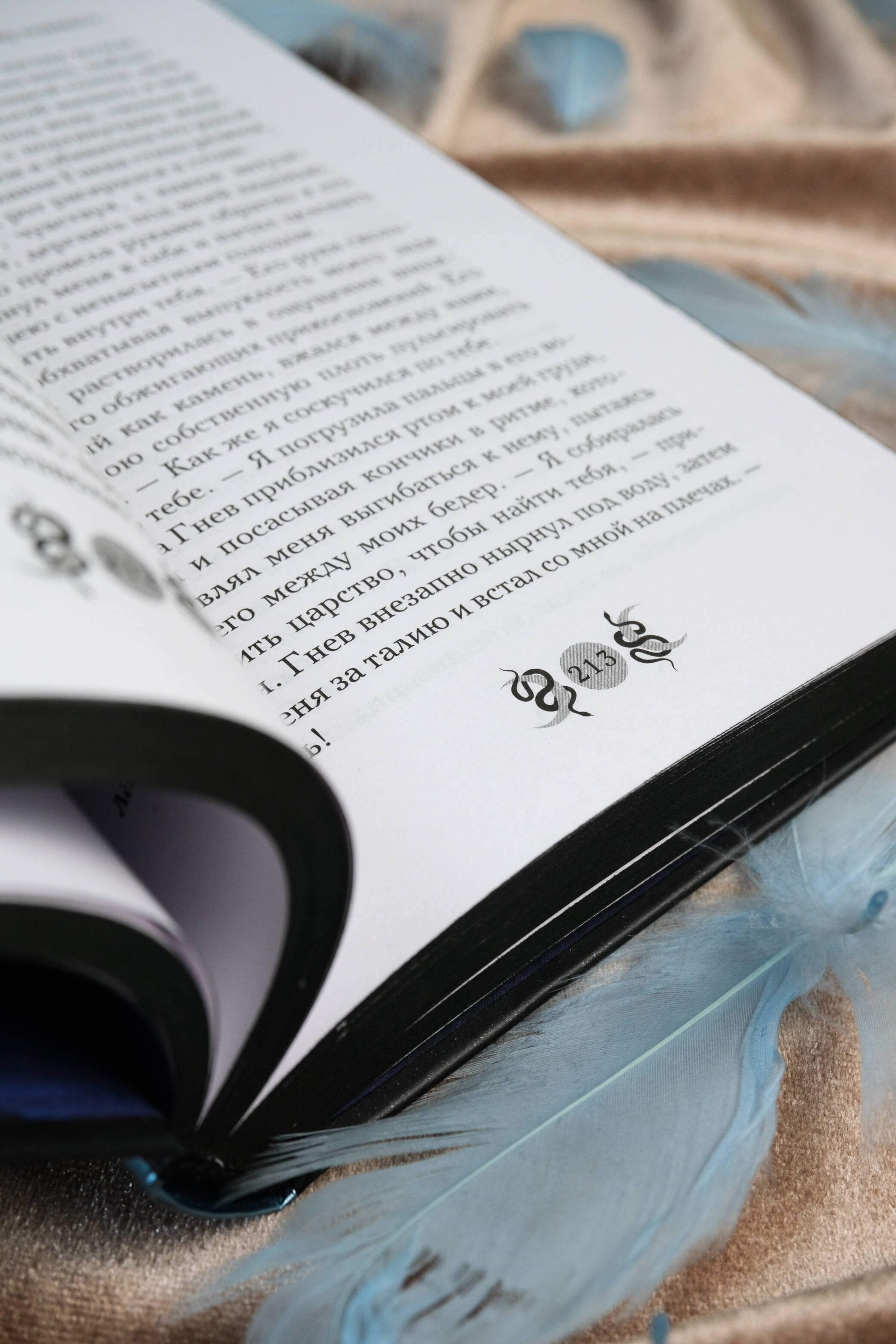 Изображение бумажной книги