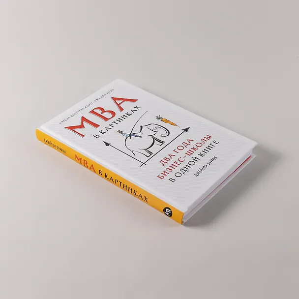 Книга MBA в картинках: Два года бизнес-школы в одной книге (Джейсон Бэррон) — 5