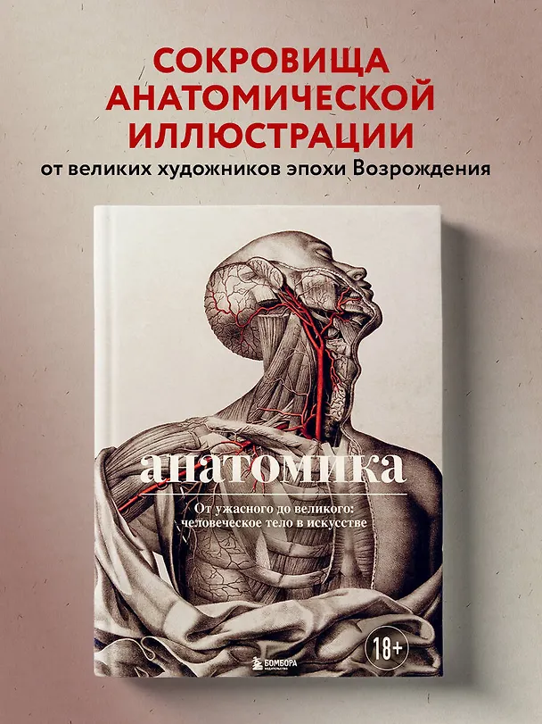 Книга Анатомика. От ужасного до великого: человеческое тело в искусстве (Джоанна Эбенштейн) — 6