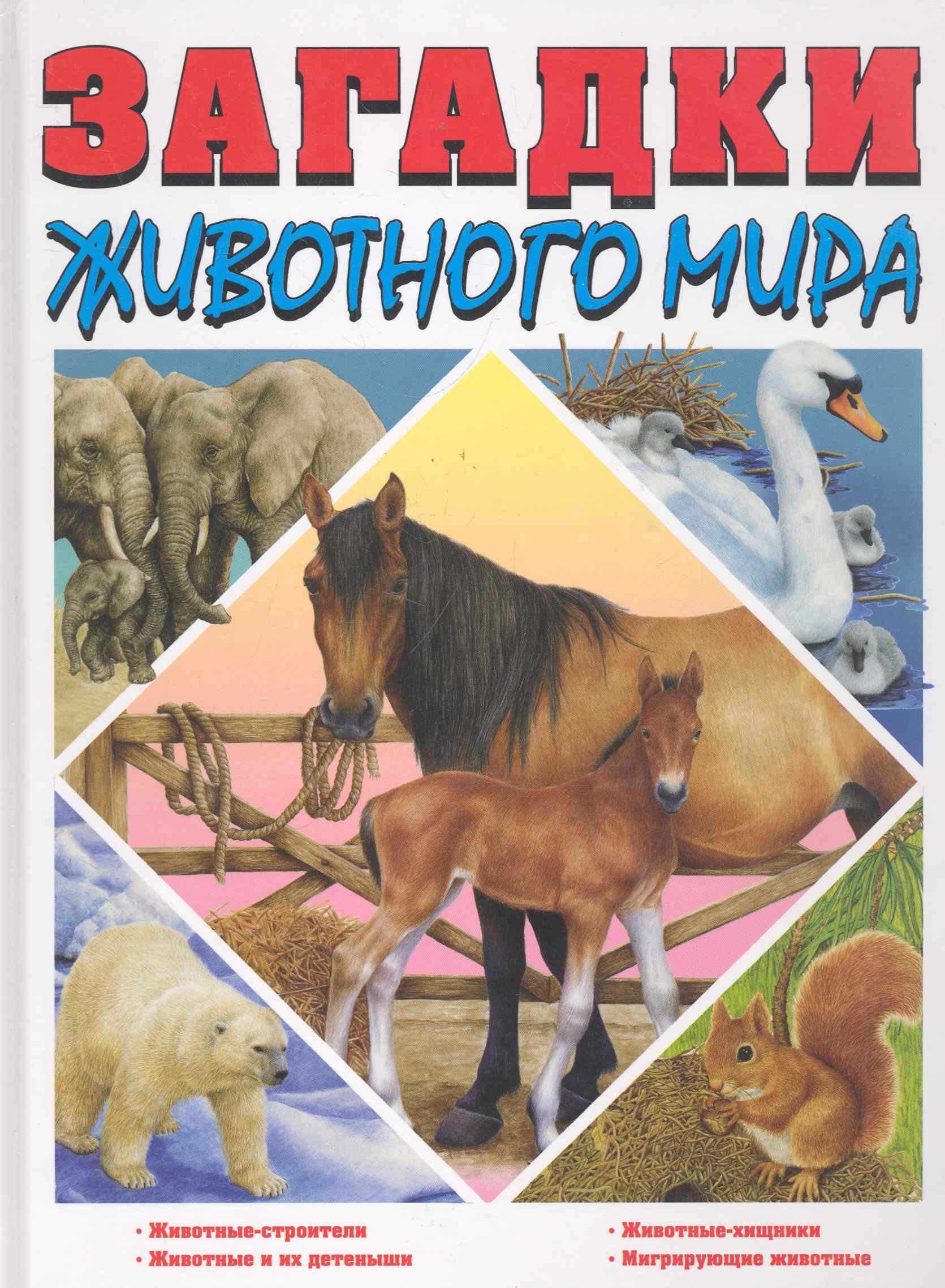 

Закадки животного мира
