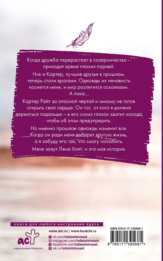Книга Осколки тебя (Янина Логвин) — 2