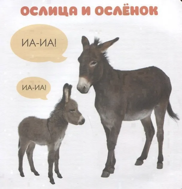 Книга Малышарики. Курс раннего развития 1+. Кто как маму зовёт? () — 5
