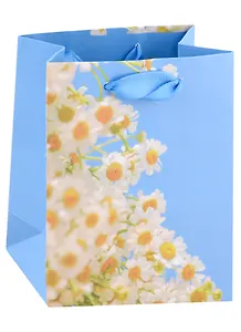 Пакет А6 14*11,5*6 "Spring blossom" жен., бум.мат.ламинат