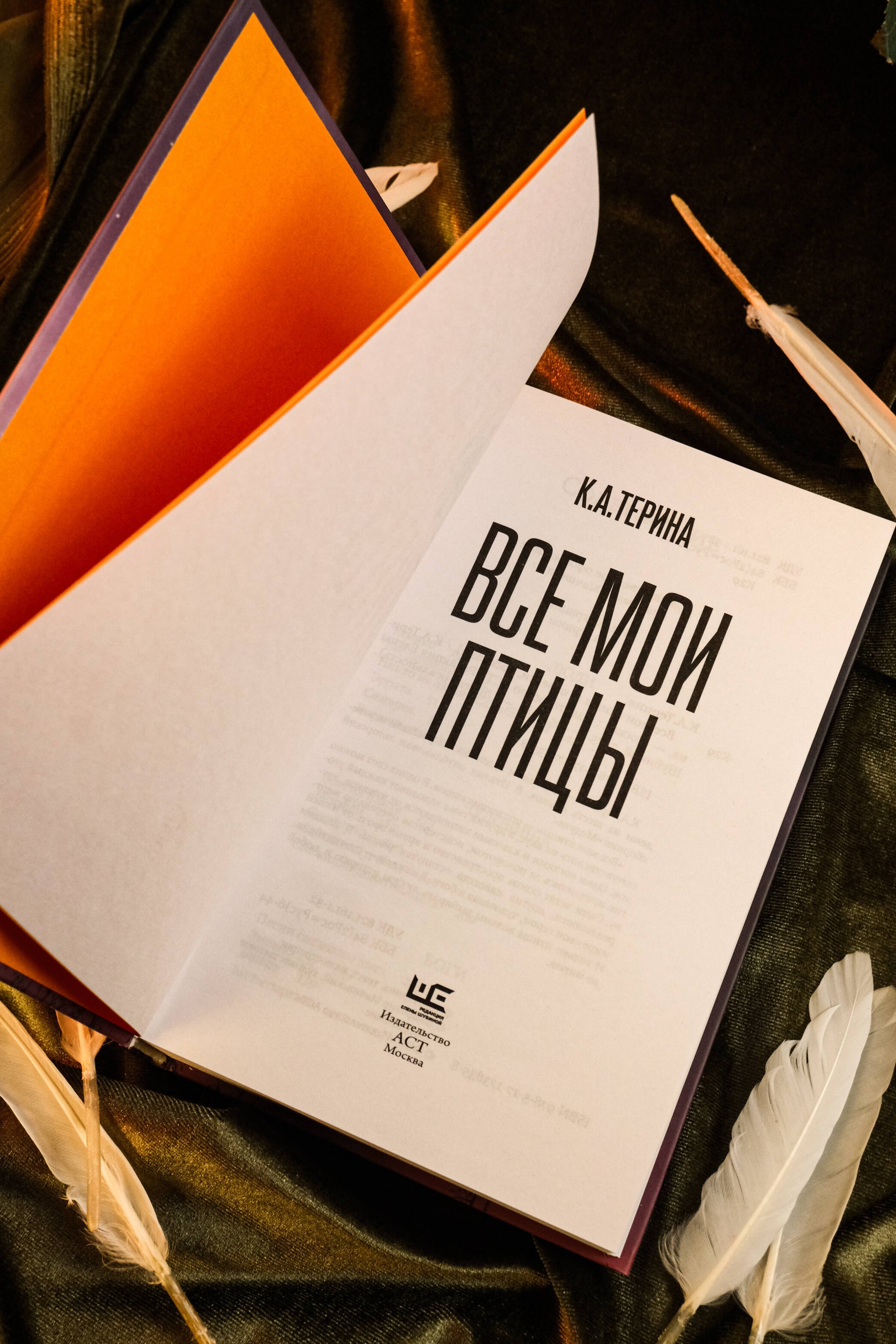 Изображение бумажной книги