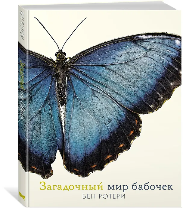 Книга Загадочный мир бабочек (Бен Ротери) — 3