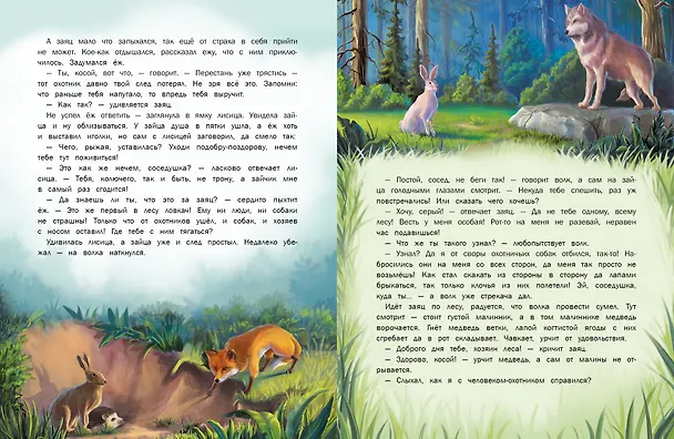Книга Сказки о Лапландии (Дмитрий Овсянников) — 4