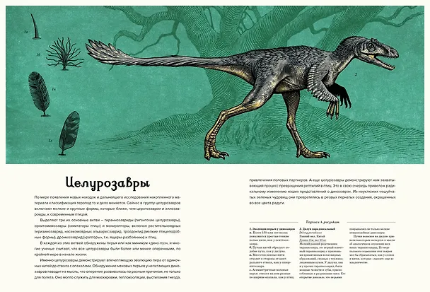 Книга Динозавриум (Кейти Скотт, Лили Маррей, Джейми Брун) — 13