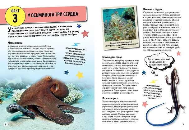 Книга Всё об окружающем мире с научной точки зрения (Лайза Риган) — 3
