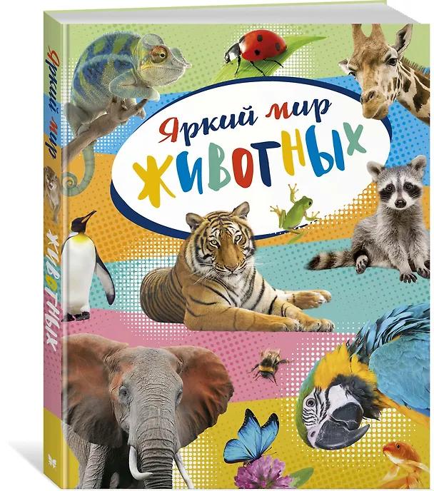 Книга Яркий мир животных (Кристин Балле) — 3