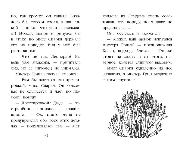 Книга Летний щенок (Канити Коруэл) — 9