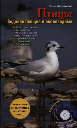 Птицы.Водоплавающие(+CD) — 2321153 — 1