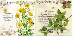 Наб. салф. для декупажа Травы (НСД2044) (2шт) (упаковка)