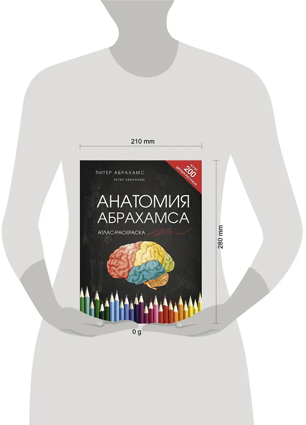 Книга Анатомия Абрахамса. Атлас-раскраска (Питер Абрахамс) — 9