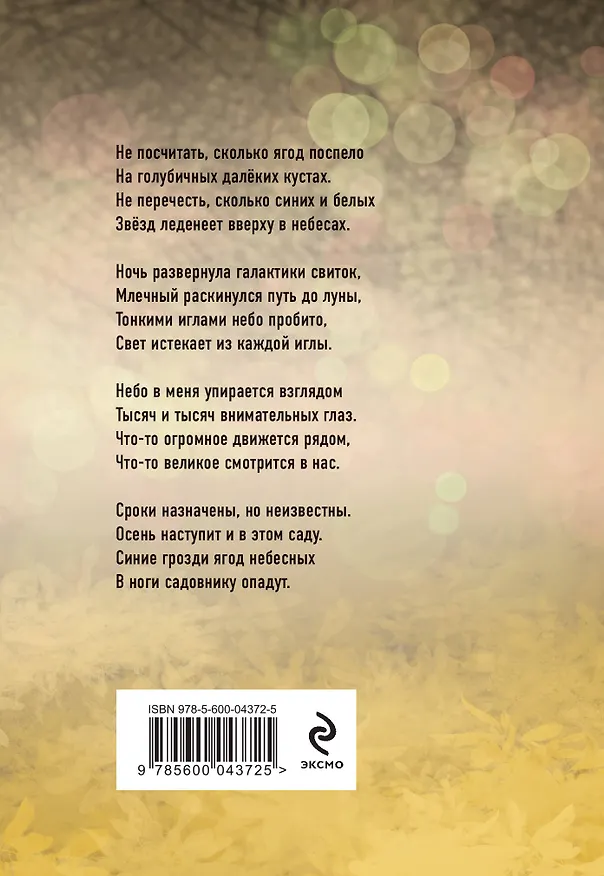 Книга Прекрасная ясность (Юрий Сорокин) — 2