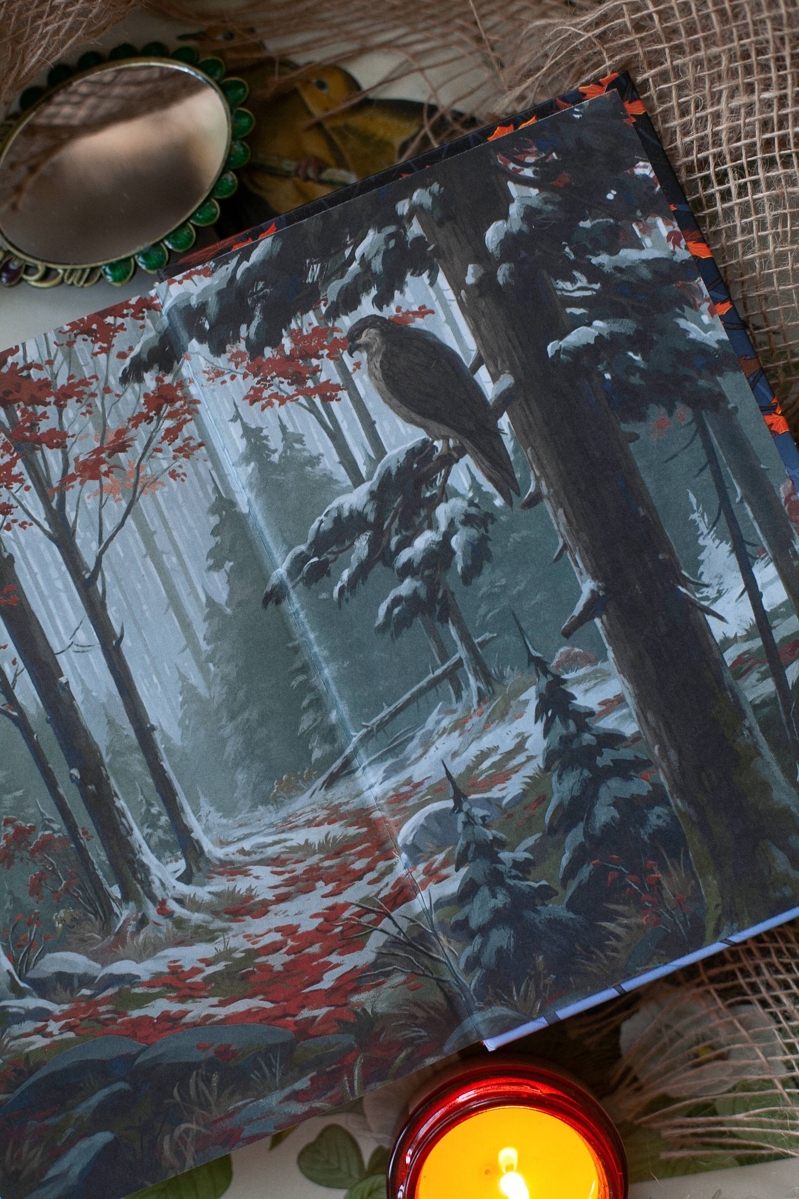 Изображение бумажной книги