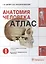 Атлас.Анатомия человека.Т.1-Опорно-двигательный аппарат.В 3х томах — 2513196 — 1