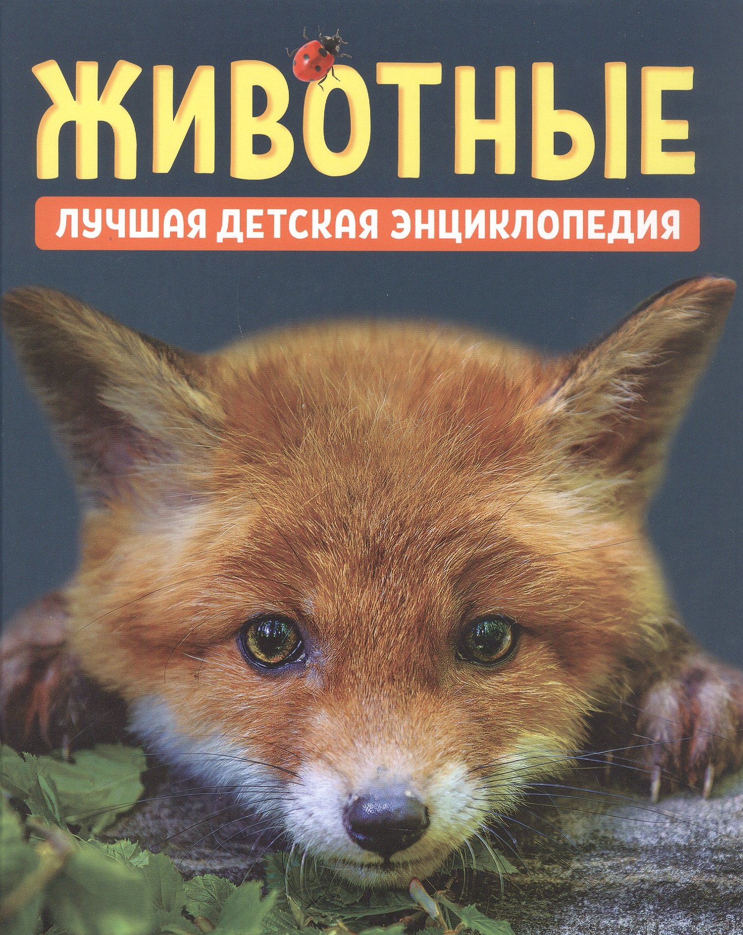 Лариса Владимировна Клюшник, Светлана Николаевна Гальцева Животные. Лучшая детская энциклопедия