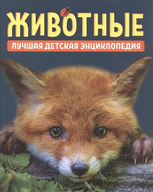 Книга Животные. Лучшая детская энциклопедия (Лариса Клюшник, Светлана Гальцева)