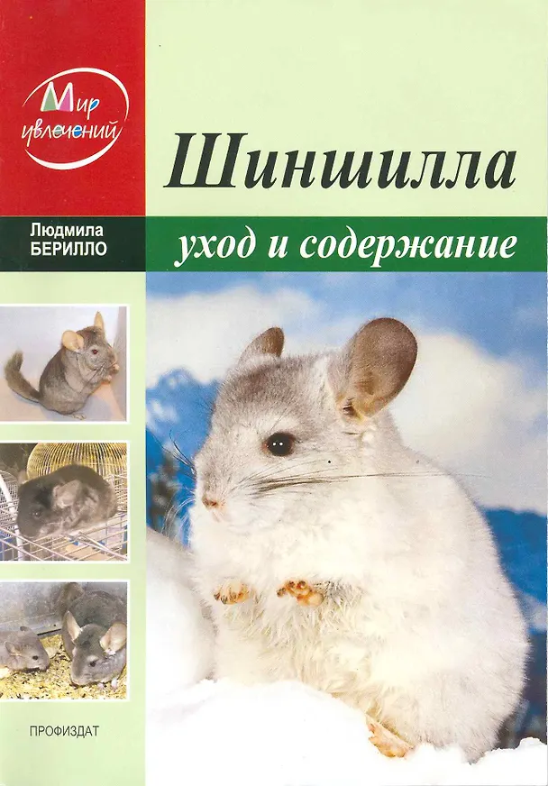Книга Шиншилла Уход и содержание в домашних условиях / (мягк) (Мир увлечений). Берилло Л. (Профиздат) () — 1