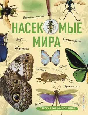 Насекомые мира. Детская энциклопедия — 3020128 — 1