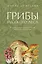 Грибы русского леса. Иллюстрированный определитель — 3101657 — 1