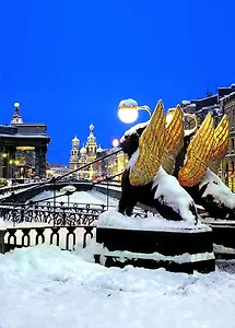 Открытка с видами (СПб) Зима.Грифоны (ночь) [SPB-047]