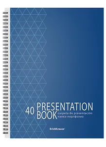 Папка 40ф А4 "Ladder of Success" пластик, ErichKrause