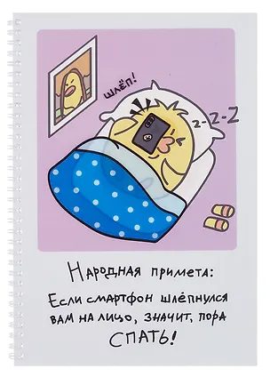 Тетрадь А4 60л кл. "Примета" евроспираль, прозр.пластик с печатью, скр.углы 3110278