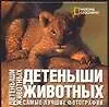 Детеныши животных: Самые лучшие фотографии. Альбом