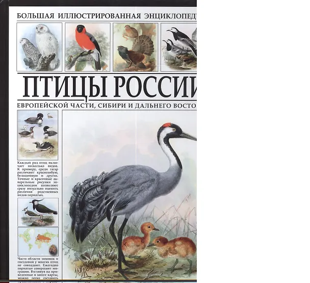 Книга Большая иллюстрированная энциклопедия. Птицы России (Сергей Афонькин) — 1