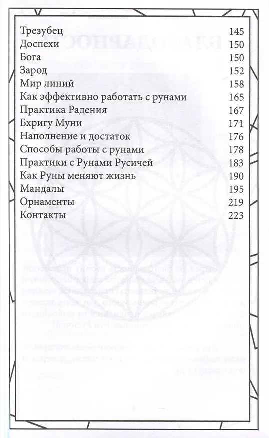 Книга Руны русичей (Юлия Бурая) — 5