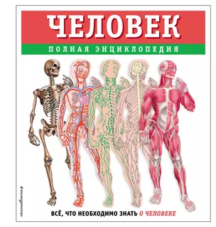 Человек. Полная энциклопедия — 3048501 — 1