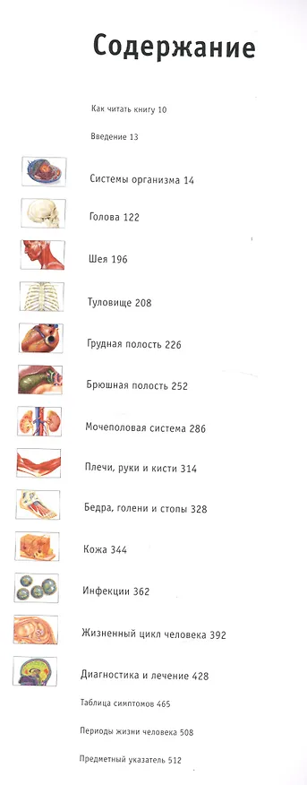 Книга Энциклопедический атлас человеческого тела (ISBN 5-17-038347-9 в суперобложке "Большой иллюстрированный атлас анатомии человека") (Т. Карпенко) — 4