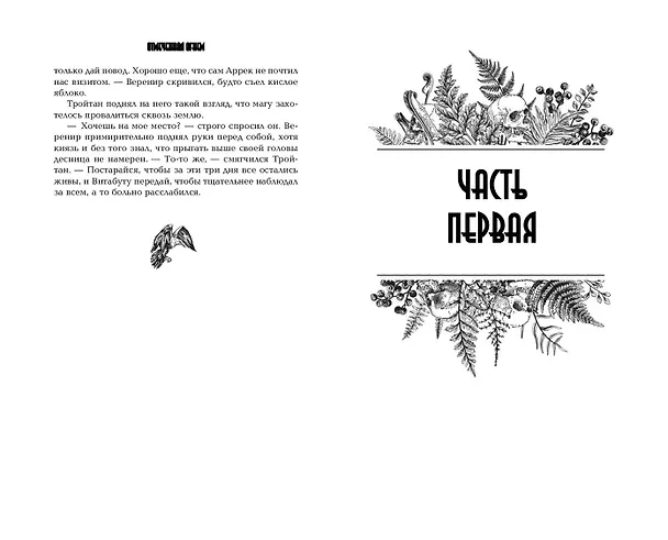 Книга Отмеченная огнём (#1) (Анна Осокина) — 9