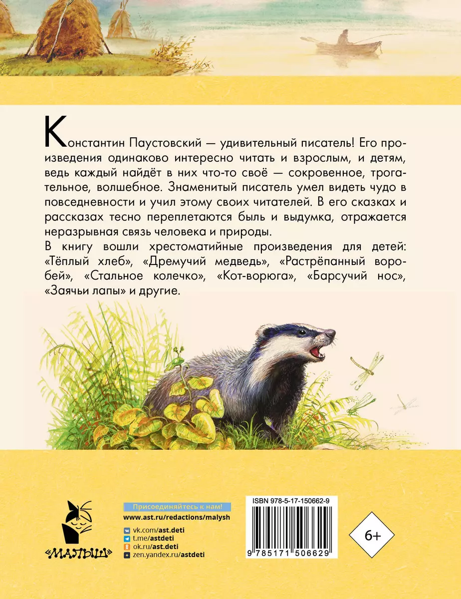 Теплый хлеб. Сказки и рассказы (Константин Паустовский) - купить книгу с  доставкой в интернет-магазине «Читай-город». ISBN: 978-5-17-150662-9