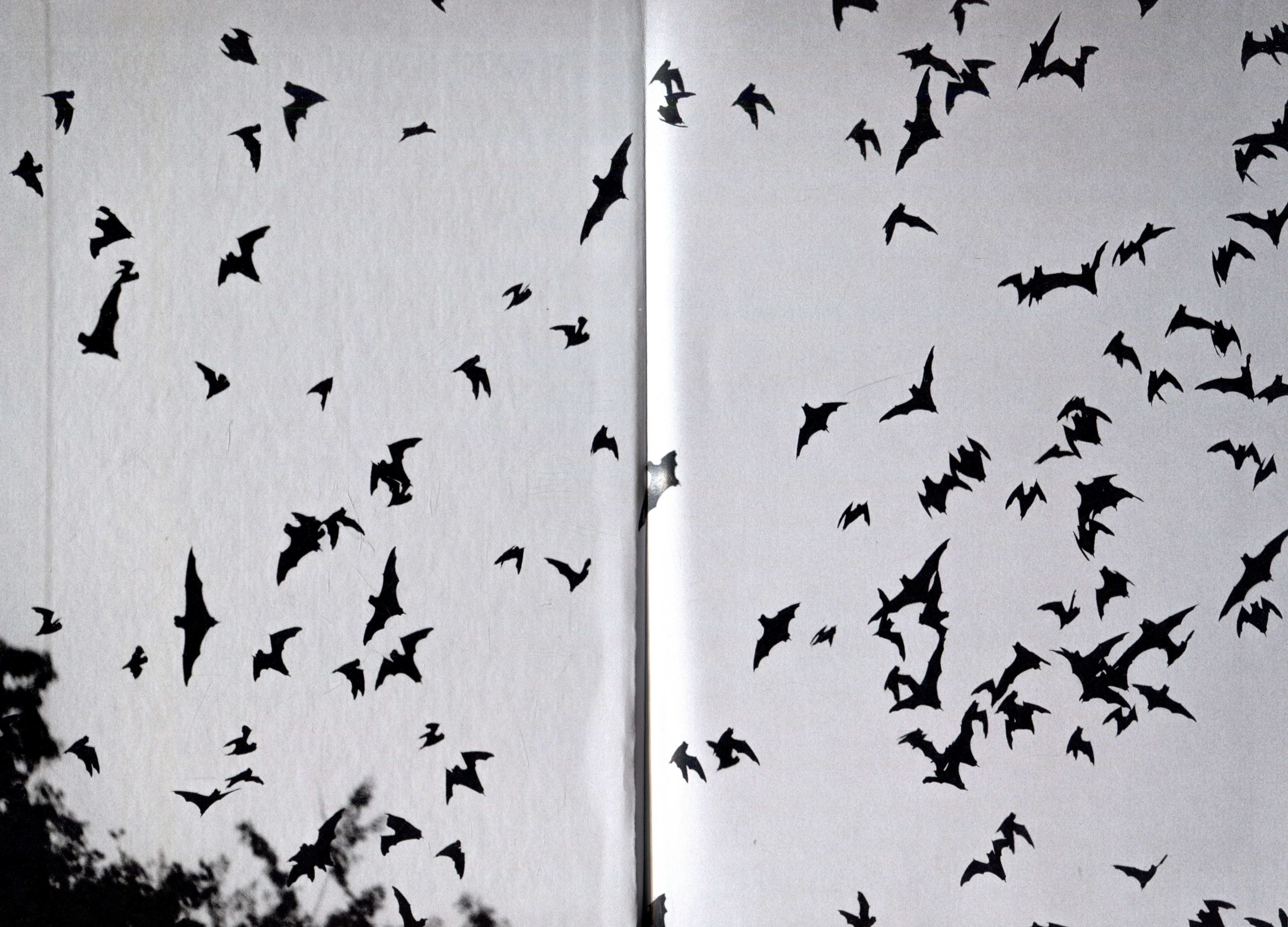 Изображение бумажной книги