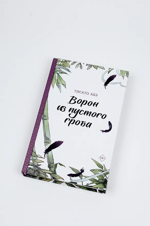 Книга Ворон из пустого гроба (Тисато Абэ) — 9