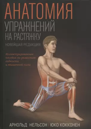 Анатомия упражнений на растяжку. Новейшая редакция — 2913276 — 1