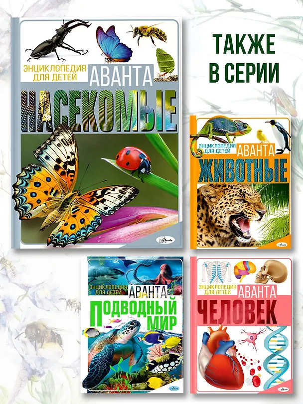 Книга Насекомые (Игорь Резько, Анна Спектор) — 8