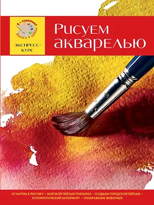 Книга Рисуем акварелью. Экспресс-курс (Давид Санмигель)