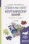 Неорганическая химия. Вопросы и задачи. Учебное пособие — 2685483 — 1