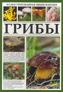 Иллюстрированная энциклопедия. Грибы.