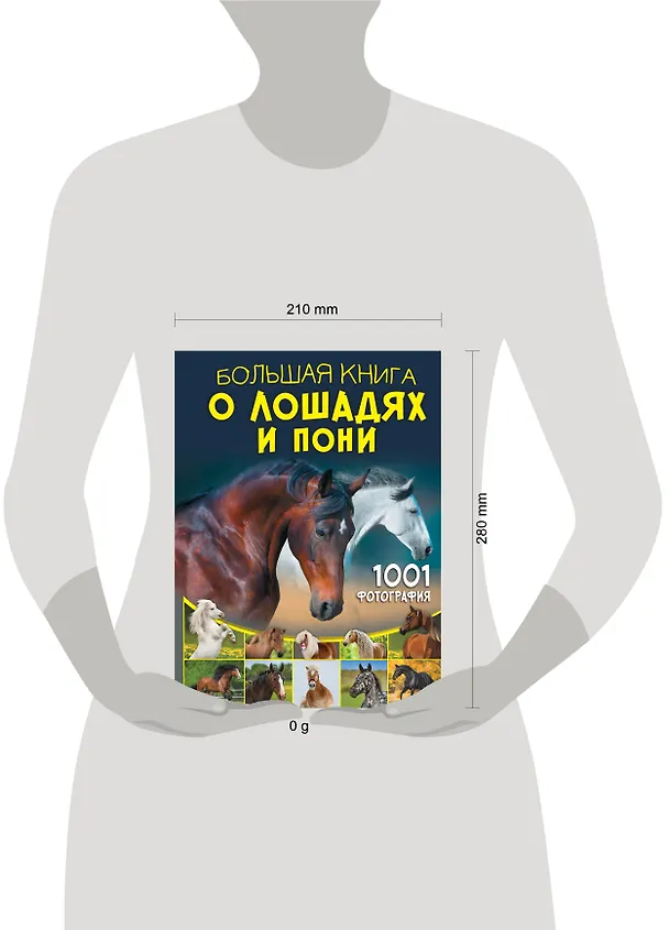 Книга Большая книга о лошадях и пони. 1001 фотография (Анна Спектор) — 8