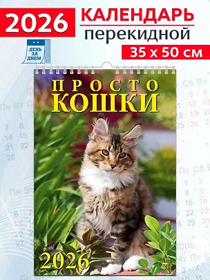 Календарь 2026г 350*500 «Просто кошки» настенный, на спирали 3108675