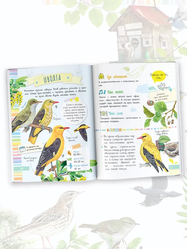 Книга Птицы (Мария Рахчеева) — 7